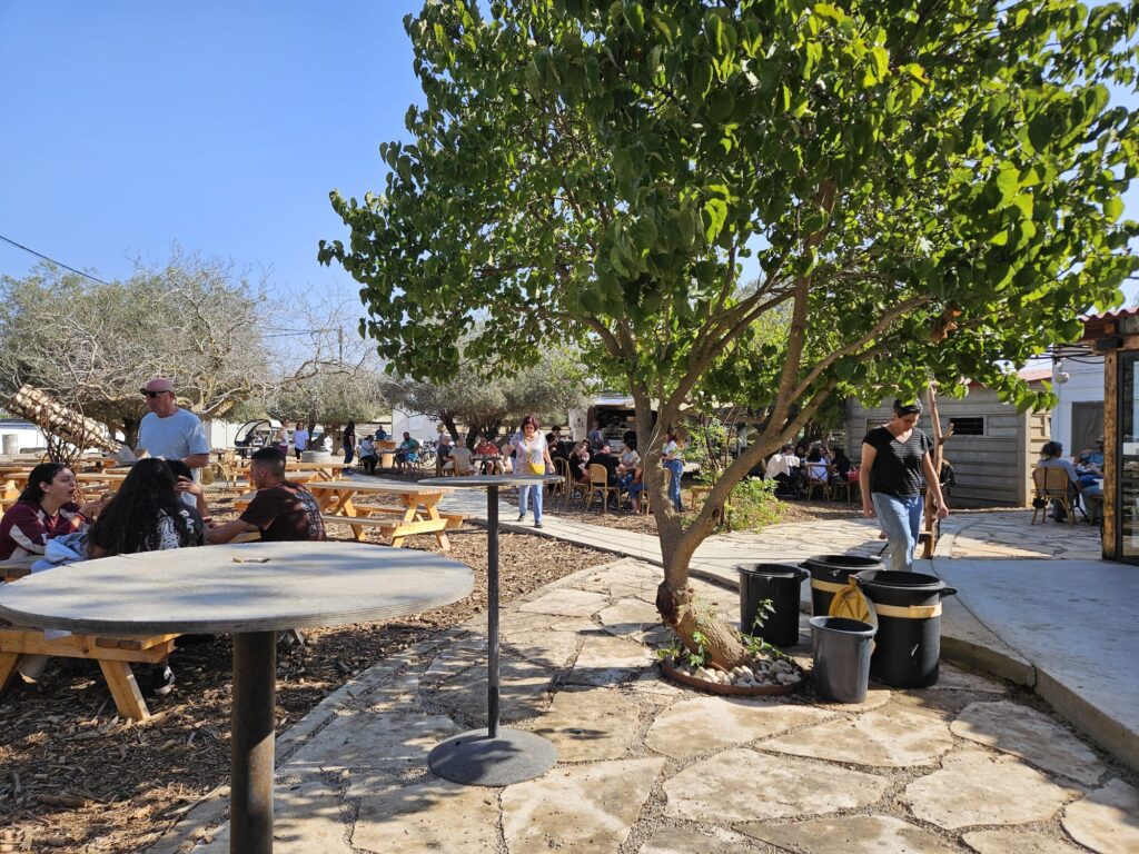 חוץ בר היין הקהילתי ברעים. מקום להופעות ומפגשי קהילה